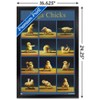 Trends International Lucia Heffernan Art - Yoga Chicks Framed Wall Poster Prints - 3 of 4