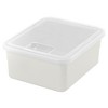 Richell Pet Stuff Container/Lid with Hinge for Food or Toy Storage, Small - 4 of 4