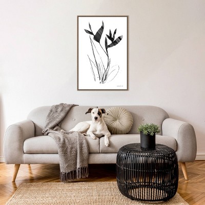 23" x 33" Black and White Abstract Floral Canvas Print with Bronze Frame