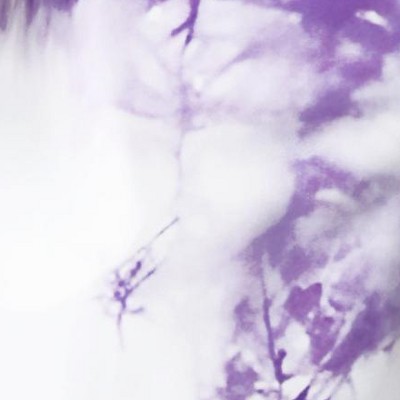 purple white