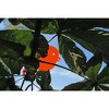 XXD Astwart Bird Feeding Station/Tree decoration, Orange with Shining Edge - 2 of 3
