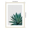Amanti Art Agave Cactus by Orara Studio Wood Framed Wall Art Print - 3 of 4
