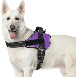 rabbitgoo Dog Harness for Extra Large Dogs, No Pull No Choke Pet Vest, Easy Wearing with , Training, Purple, XL - 1 of 1