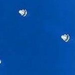 blue plate + black pole + blue wheel