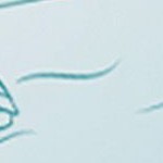 ivory (creamy beige tone)
