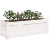vidaXL Garden Planter White 35.4"x12.2"x12.2" Solid Wood Pine - 4 of 4