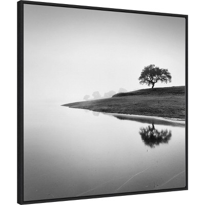 30" x 30" Black and White Tree Lake Framed Canvas Print