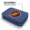 The Flash Logo Insulated Soft Sided Lunch Box - 4 of 4