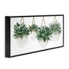 Stupell Industries Hanging Planters House Plants Framed Giclee Art - 2 of 4