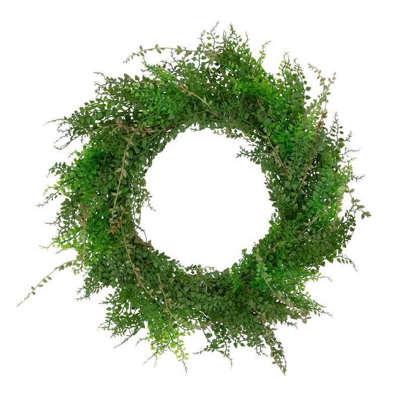 Northlight Mixed Boxwood and Berry Artificial Wreath, 24-Inch, Unlit, 1 of 4