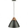 Artcraft Lighting Tote 1 - Light Pendant in  Black - 3 of 4