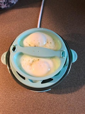 Dash Rapid 6 Egg Cooker AS-IS parts (Missing Poaching bowl and omelet tray)