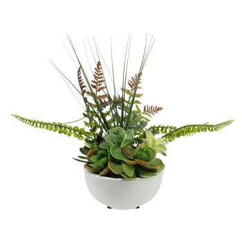 Northlight 11.5" Mixed Succulent and Fern Artificial Potted Plant - Green/White