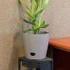 10" Round Self-Watering Indoor/Outdoor Bamboo Plant Pot - 4 of 4