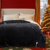 Bedsure Heated Blanket - Fast Heating Electric Blanket Soft Flannel Heated Throw Warm Gifts for Family - 3 of 4