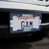 Brandeis University Stripe License Plate Tag Frame - 2 of 4