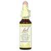 Bach Original Flower Remedies, White Chestnut, 0.35 fl oz (10 ml) - 3 of 4