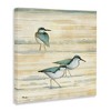 Stupell Industries Oceanside Sandpipers Beach Birds Canvas Art, 24" x 24" - 2 of 4