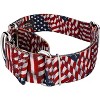 Country Brook Petz 1 1/2 Inch Martingale Dog Collar - Americana Collection - 4 of 4