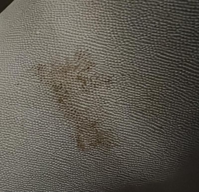 Guest review image 1 of 4, zoom in