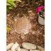 Cast Iron Turtle Stepping Stone - Zingz & Thingz - 4 of 4