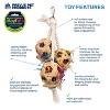 Prevue Pet Products Cluster of Fun - Playfuls Forage & Engage Bird Toy 60241 - 2 of 3