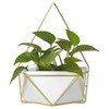 Succulent Wall Geometric Hanging White/Gold - Project 62™ - image 3 of 4