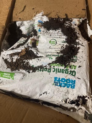 Guest review image 2 of 2, zoom in