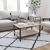 Metal Frame Coffee Table with Storage Driftwood - Merrick Lane - 2 of 4