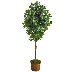 Nearly Natural 6.5-ft Ficus Artificial tree in Wicker Planter - 1 of 4