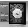 Americanflat 6" x 8" Picture Frame with Polished Plexiglass - Set of 5 - Galleria Collection - Gallery Wall Frame Set for Tabletop - Black - 3 of 4