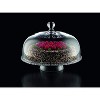 Nachtmann Bossa Nova Tea Time Dome - 11.89 Inch - 2 of 3