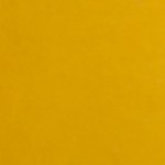 ginger yellow
