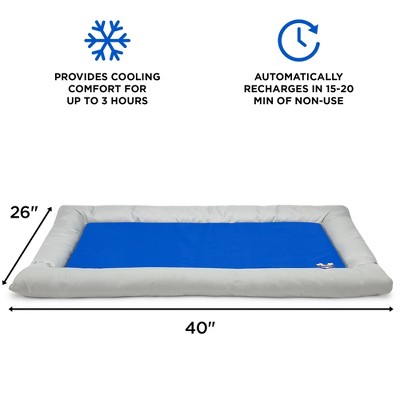 Gray and Blue Gel-Based Self Cooling Pet Bed