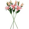 Northlight Real Touch™ Pink Artificial Lily Floral Stems, Set of 6 - 38" - 4 of 4