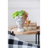 NAYSAYE Planter Greek Style Cement Head Planter Unique Accent Piece for Indoor Outdoor Garden, Gray, 6.3"*5.9"*9.1" - 3 of 4