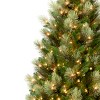 Charleston Pine Artificial Christmas Tree Clear Lights - National Tree Company - 3 of 3