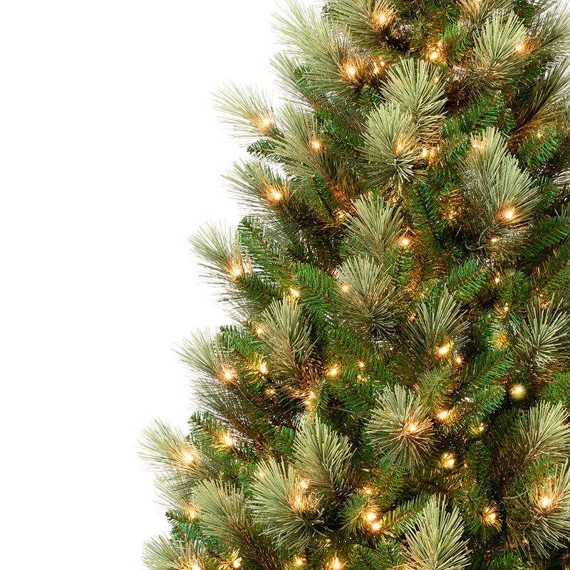 9' Pre-Lit Flocked Charleston Pine Artificial Christmas Tree Clear Lights - National Tree Company, 3 of 4