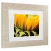Trademark Fine Art - Mick Agterberg Close Up Details Of A Helianthus Matted Framed Art - 3 of 4