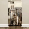 Carlson Extra Dogs Tall Walk Through Gate - image 2 of 2