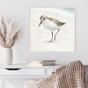 Amanti Art Sandpiper on the Beach II by Lucca Sheppard Canvas Wall Art Print Framed 22 x 22-in. - 4 of 4