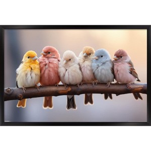 Trends International Reinders: Animals - Pastel Birds Framed Wall Poster Prints Black Framed Version 22.375" x 34" - 1 of 4