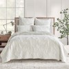 Cream Velvet Euro Sham - Set of 2 - Levtex Home - 3 of 3