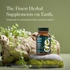 Gaia Herbs Mighty Lungs - Lung Support Supplement to Help Maintain Overall Lung & Respiratory Health - 60 Vegan Liquid Phyto-Capsules - 3 of 4