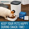 Maplefield [12 pack] Pet Feeder Desiccant Bags - Keeps Dog & Cat Food Dry and Removes Moisture - Compatible with Most Feeders - 3 of 4