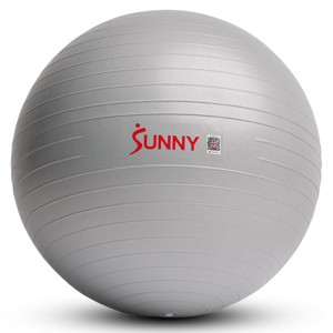 Premium Stability Exercise Ball – 45–75 cm - Sunny Health & Fitness - 1 of 4