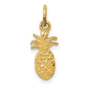 Black Bow Jewelry 14k Yellow Gold Small Polished Pineapple Charm - 1 of 4