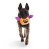 BARK Afraid of the Bark Halloween Batty Flapperlantern Plush Dog Toy - 3 of 4