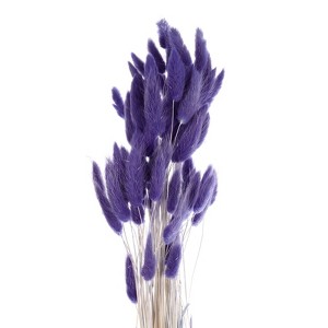 Unique Bargains Natural Dried Floral Bunny Tail Artificial Plants 60 Pcs - 1 of 4