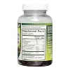 HealthA2Z - Elderberry Gummies with Vitamin C & Zinc - 60 Count - 3 of 4